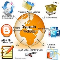 Dynamic Website Development